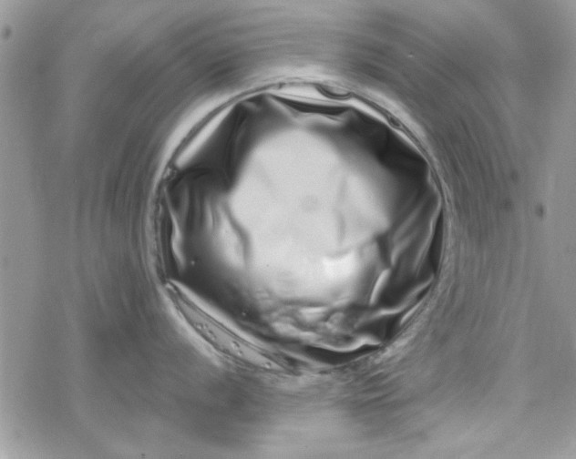 X0000078251056200611171519