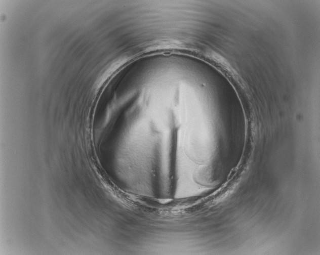 X0000078251129200611171517