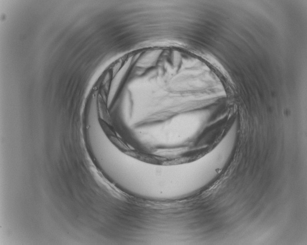 X0000078251132200611171517