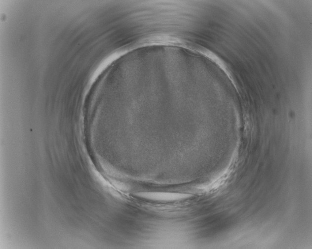 X0000078251147200611171517