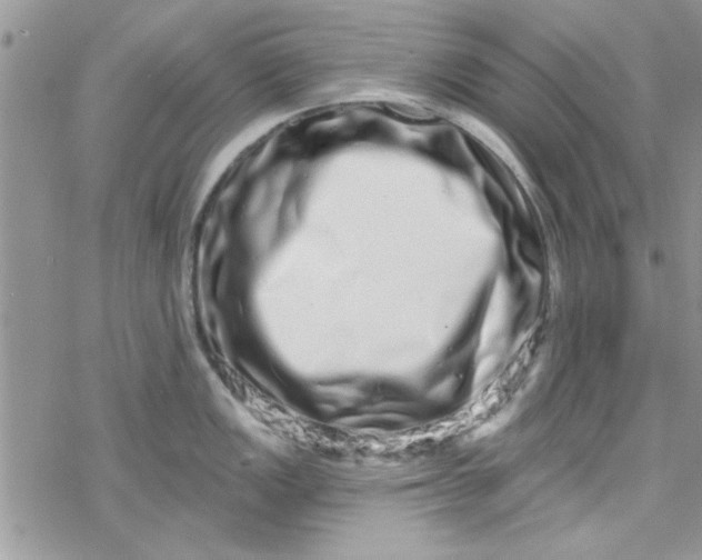 X0000078251149200611171517