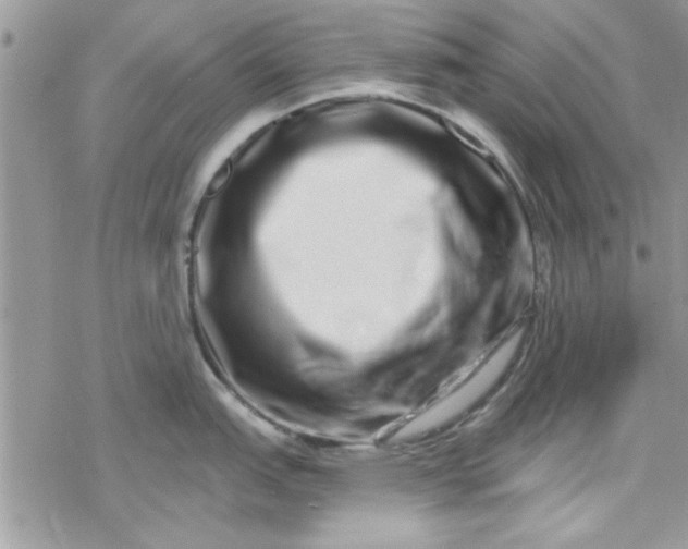 X0000078251151200611171517