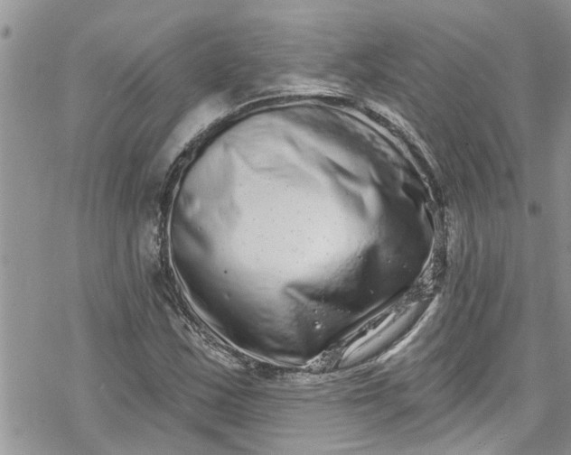X0000078251163200611171516