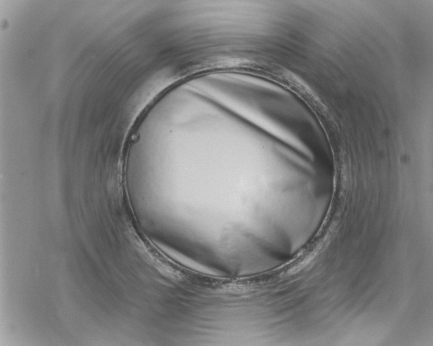 X0000078251178200611171516