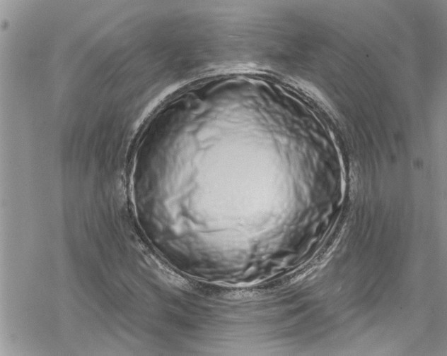 X0000078251212200611171515
