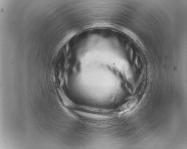 X0000078251241200611171515