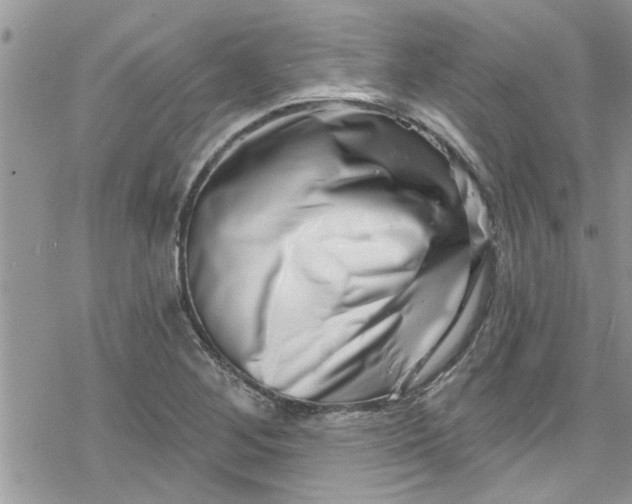 X0000078251268200611171514
