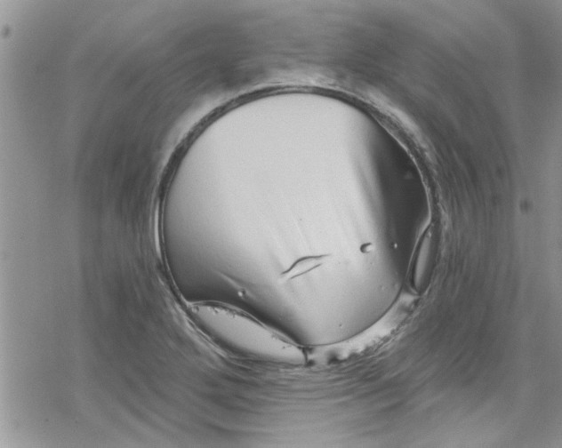 X0000078251272200611171514