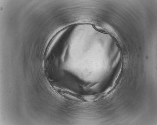 X0000078251284200611171514