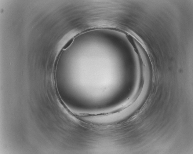 X0000078251293200611171514