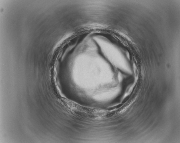 X0000078251309200611171513