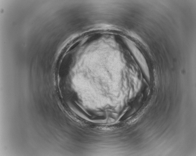 X0000078251318200611171513
