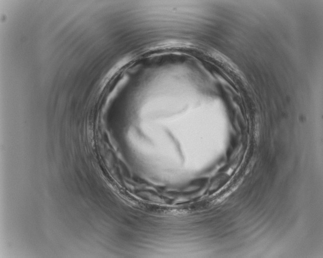 X0000078251321200611171513