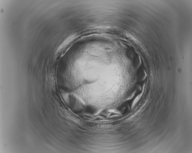 X0000078251354200611171513