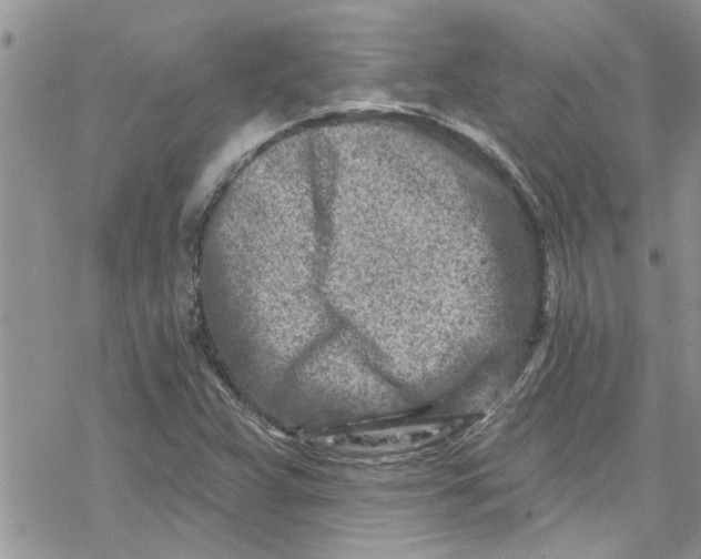 X0000078251359200611171513