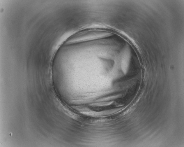 X0000078251367200611171513