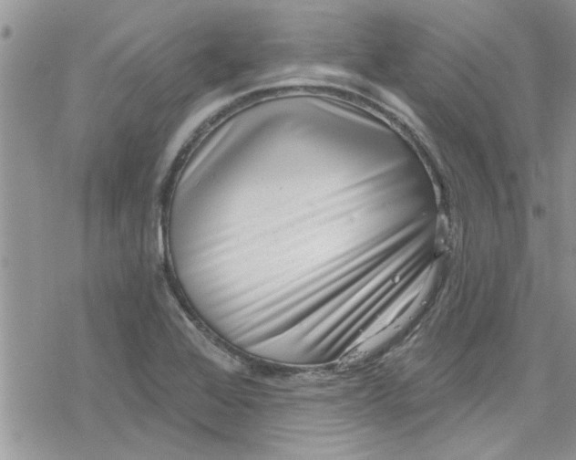 X0000078251368200611171513