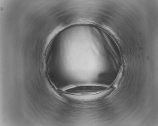 X0000078251371200611171513