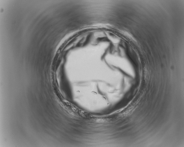 X0000078251412200611171512