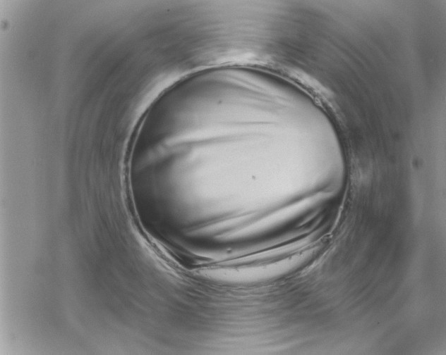 X0000078251423200611171512