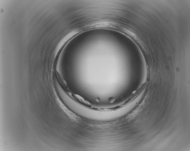 X0000078251426200611171512