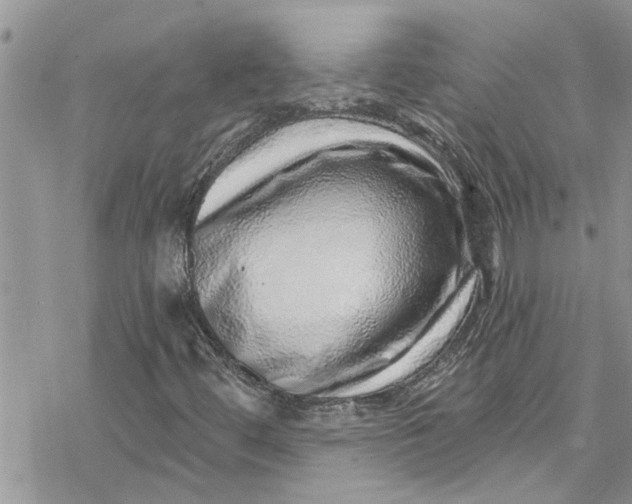 X0000078251444200611171511