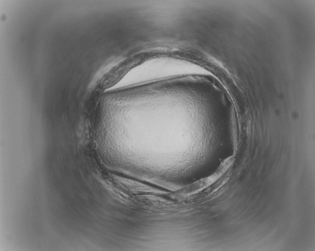 X0000078251448200611171511