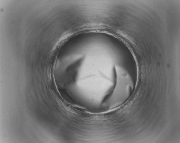 X0000078251451200611171511