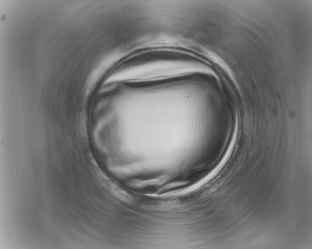 X0000078251464200611171511