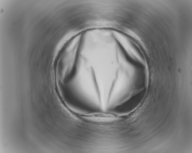 X0000078251472200611171511