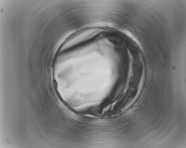 X0000078251476200611171511