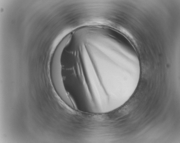 X0000078251480200611171511