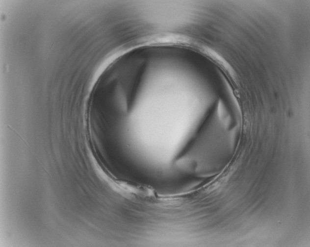 X0000078251483200611171511