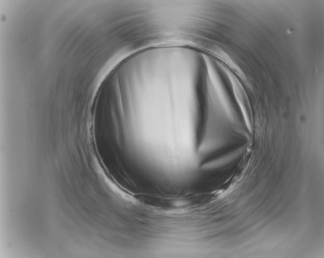 X0000078251484200611171511