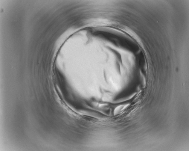 X0000078251488200611171511