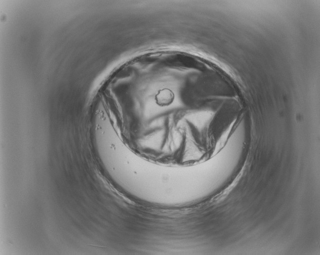 X0000078251502200611171510