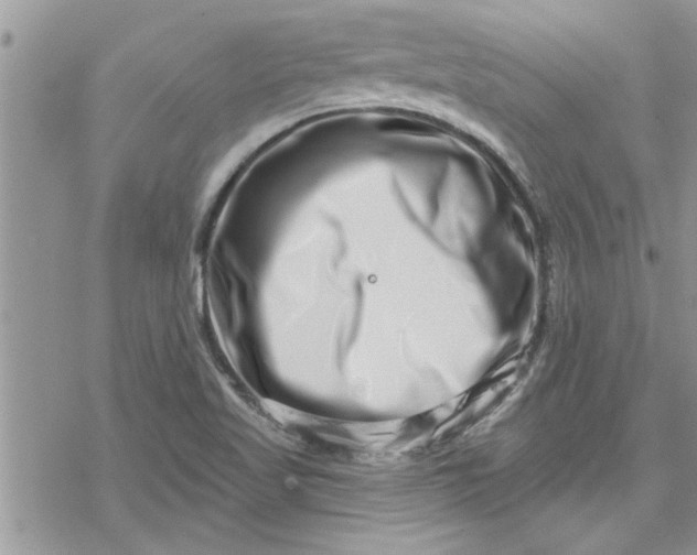 X0000078251509200611171510