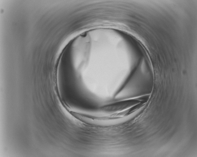 X0000078251531200611171511