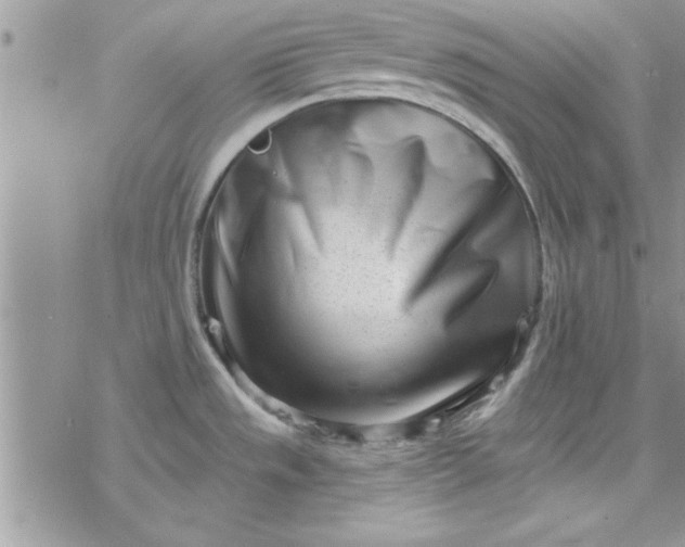 X0000078251533200611171511