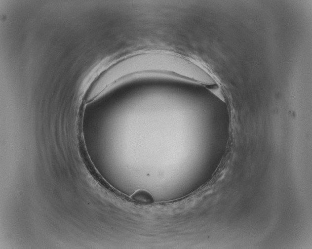X0000078250007200611251315