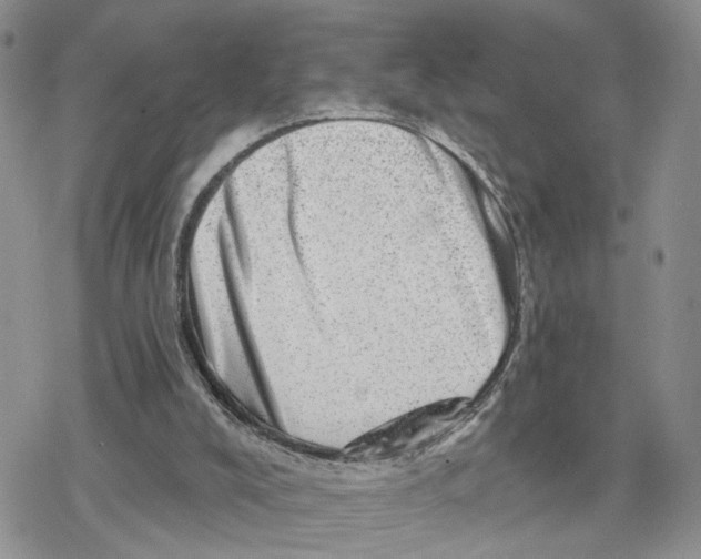 X0000078250008200611251315