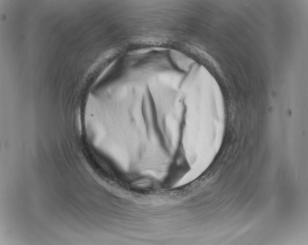 X0000078250020200611251315