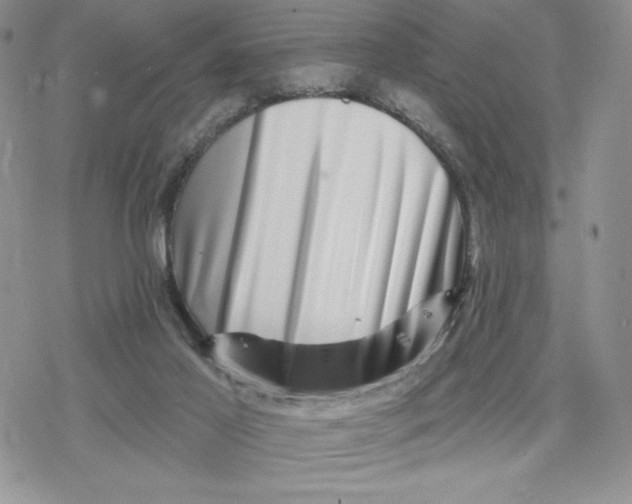 X0000078250021200611251315