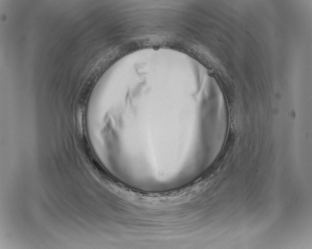 X0000078250022200611251315