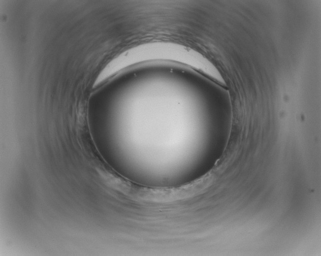 X0000078250037200611251315