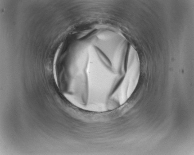 X0000078250040200611251314