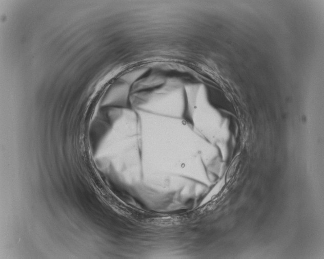 X0000078250050200611251314