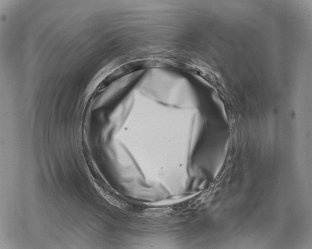 X0000078250051200611251314