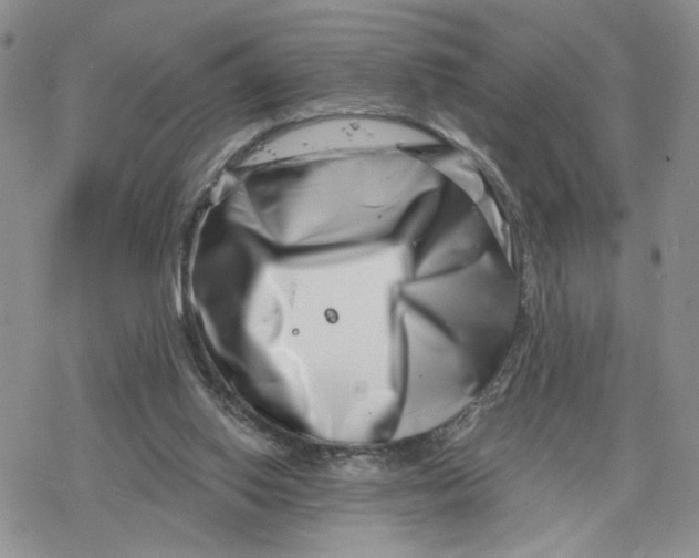 X0000078250062200611251314