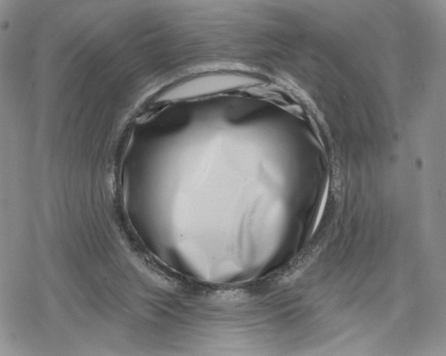 X0000078250063200611251314